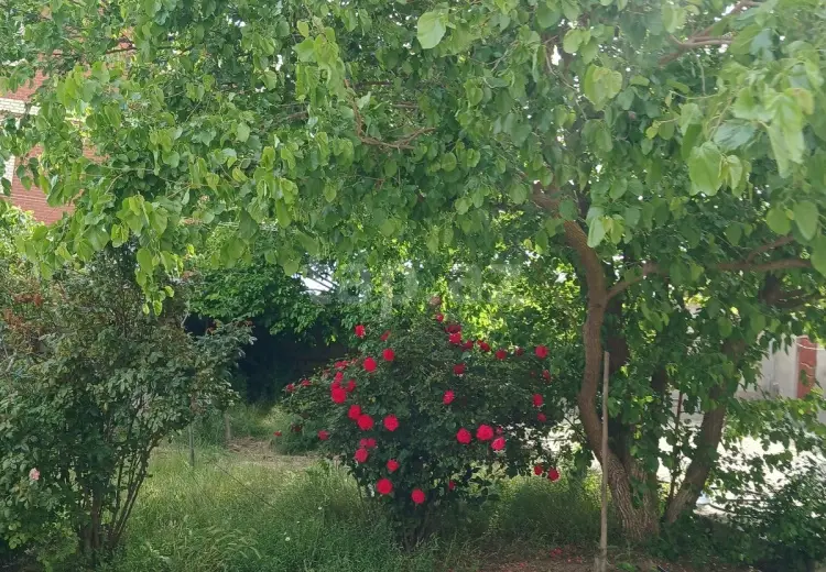 0 m² Obyekt / Ofis , Badamdar qəs., Səbail, Bakı