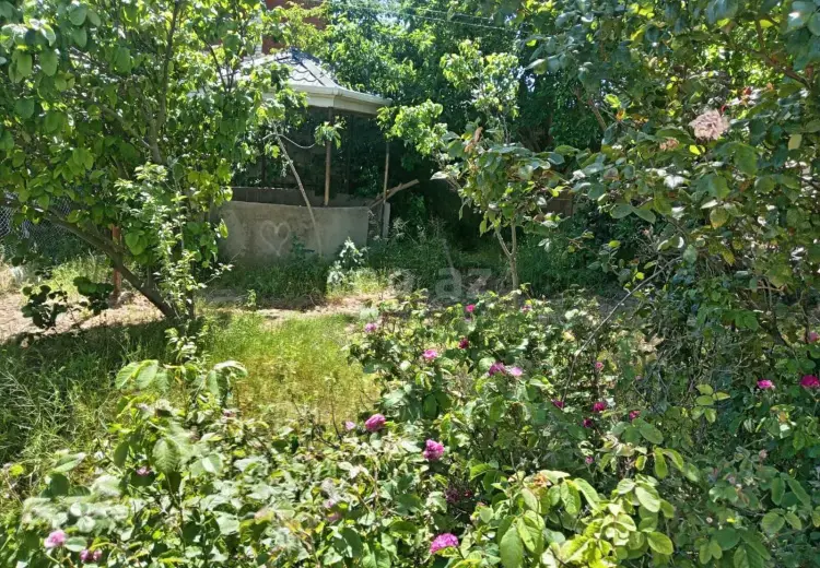 0 m² Obyekt / Ofis , Badamdar qəs., Səbail, Bakı