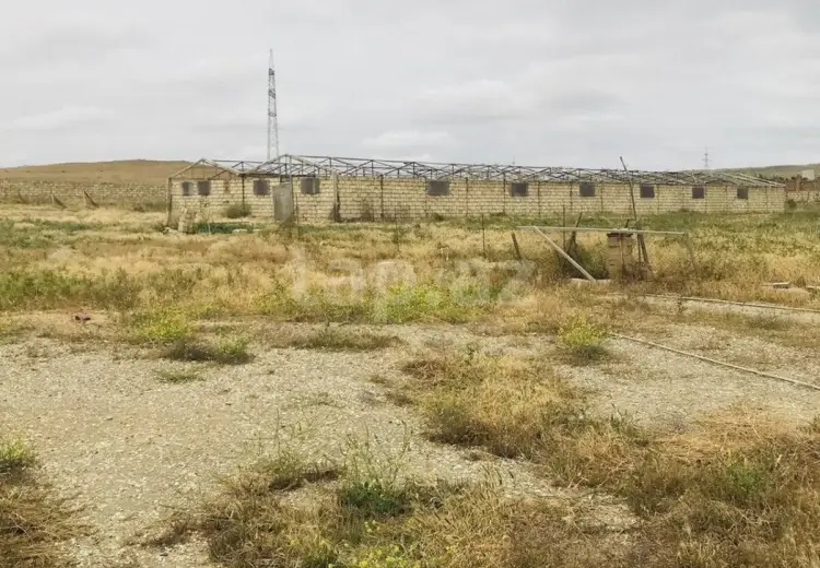 0 m² Obyekt / Ofis , Qobu, Abşeron