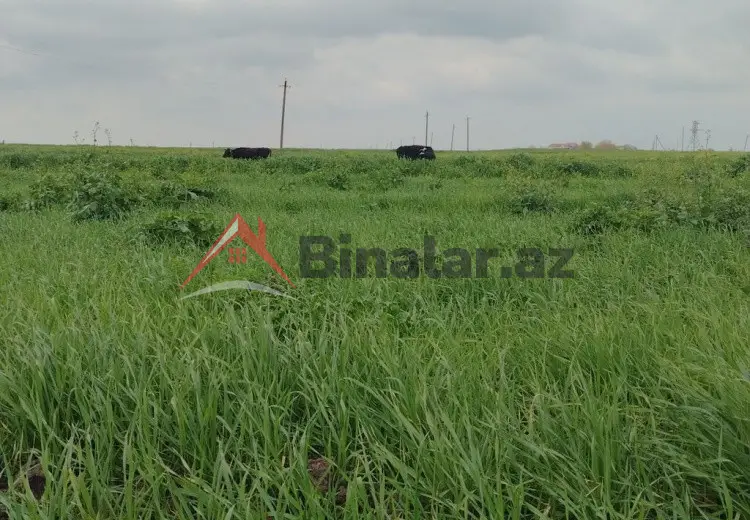 134 sot Torpaq Satılır, Cəlilabad
