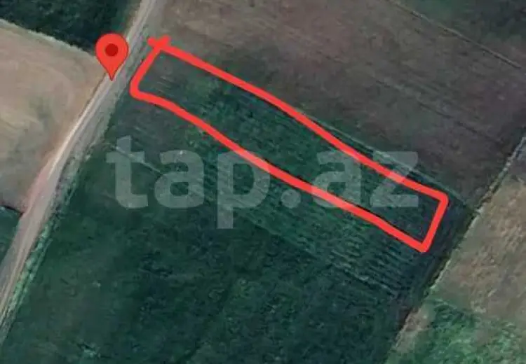 0 m² Obyekt / Ofis , Cəlilabad