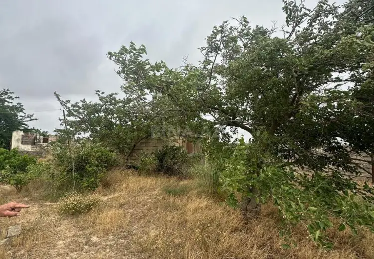 28 sot Torpaq Satılır, Nardaran qəs., Sabunçu, Bakı