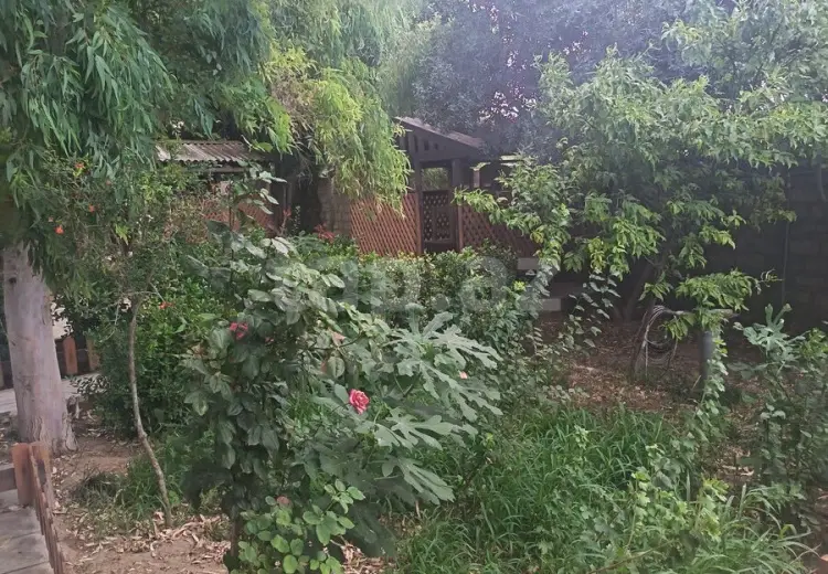 0 m² Obyekt / Ofis , Dübəndi, Xəzər, Bakı