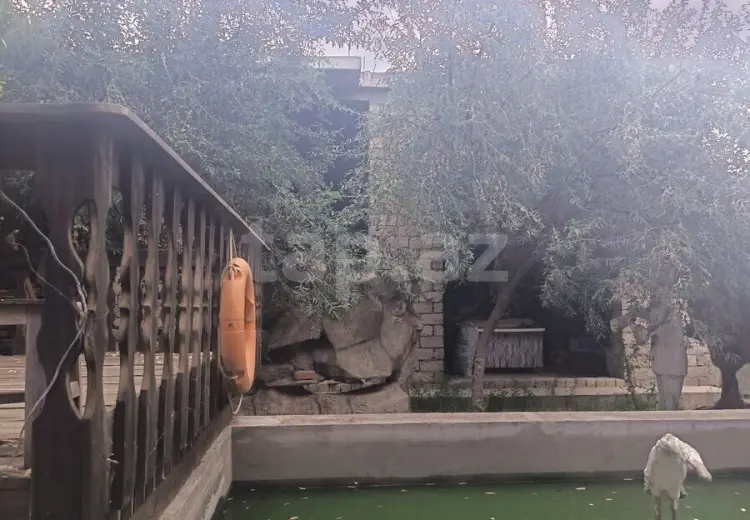 0 m² Obyekt / Ofis , Dübəndi, Xəzər, Bakı