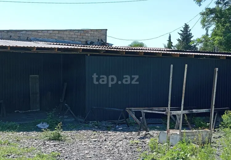 0 m² Obyekt / Ofis , Zaqatala