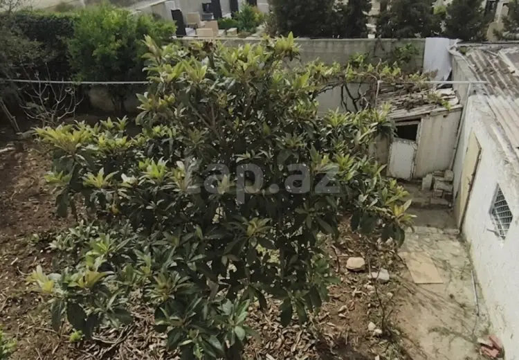 0 m² Obyekt / Ofis , Bülbülə qəs., Suraxanı, Bakı