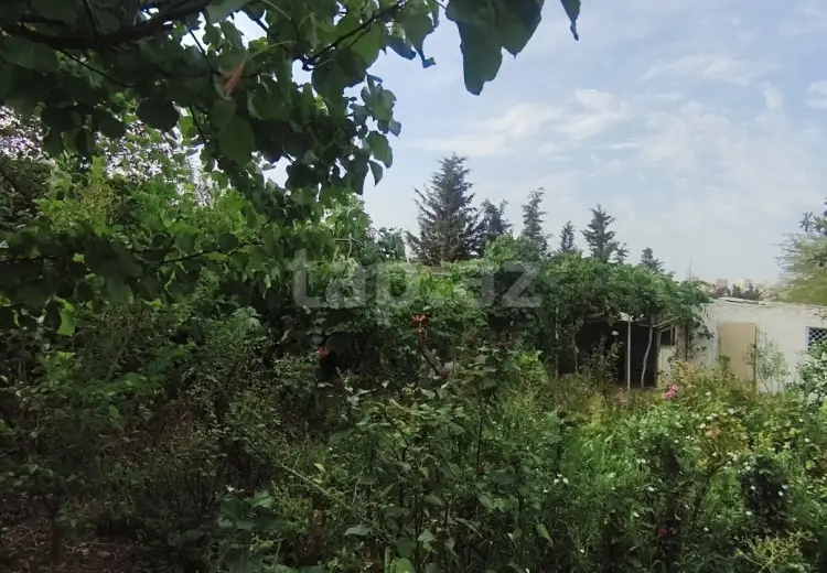 0 m² Obyekt / Ofis , Bülbülə qəs., Suraxanı, Bakı