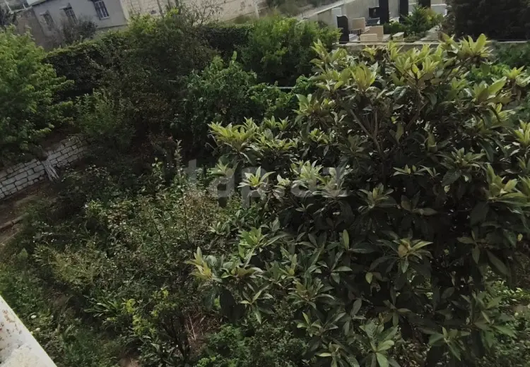 0 m² Obyekt / Ofis , Bülbülə qəs., Suraxanı, Bakı