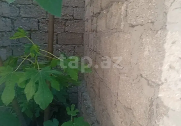 0 m² Obyekt / Ofis , Savalan qəs., Sabunçu, Bakı