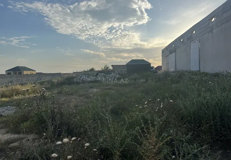 8 sot Torpaq Satılır, Saray, Abşeron