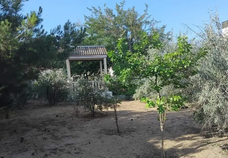 12 sot Torpaq Satılır, Şüvəlan, Xəzər, Bakı
