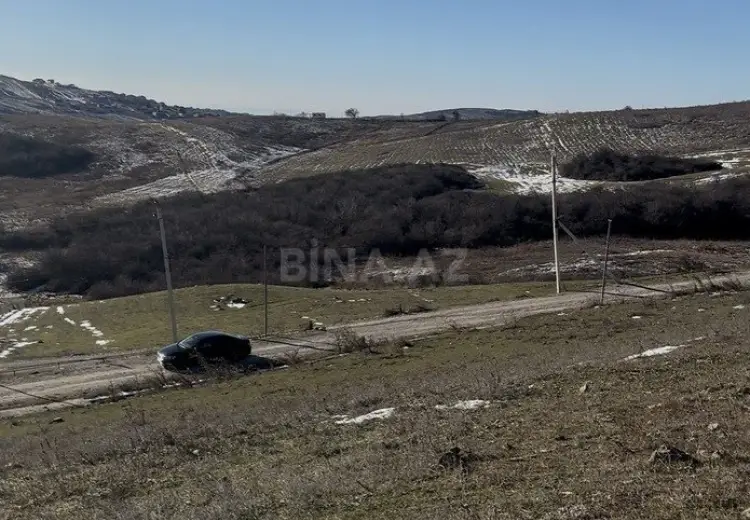 12 sot Torpaq Satılır, Şamaxı