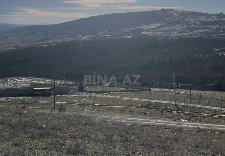 12 sot Torpaq Satılır, Şamaxı