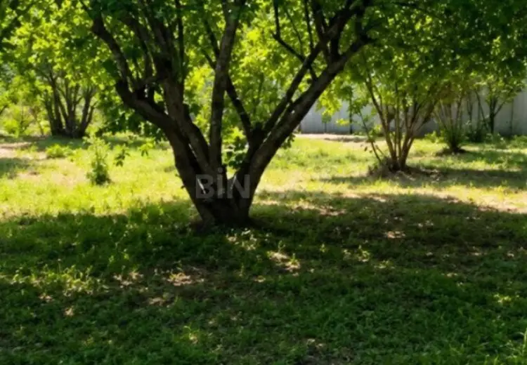 23 sot Torpaq Satılır, Qəbələ
