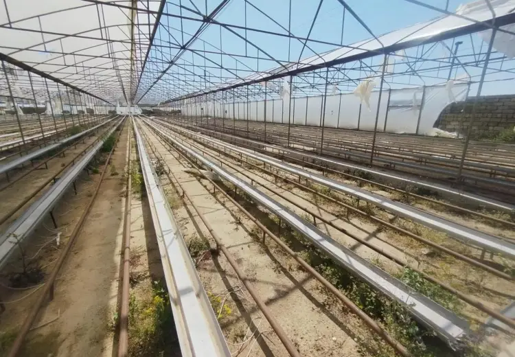 20000 m² Obyekt / Ofis Satılır, Zirə, Xəzər, Bakı