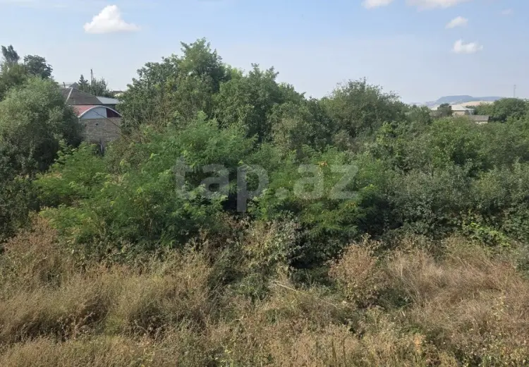 0 m² Obyekt / Ofis , Şamaxı