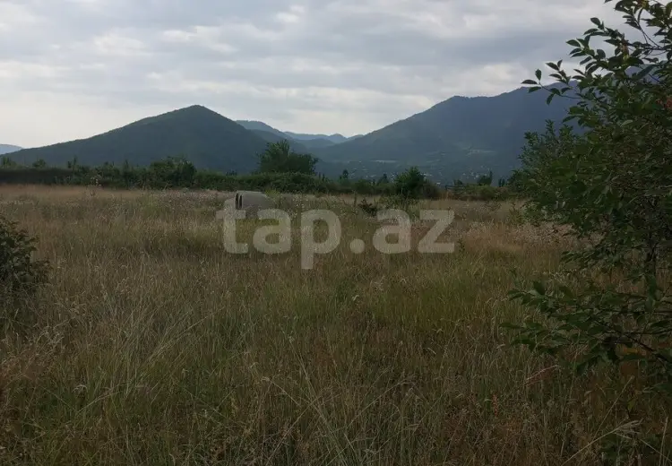 0 m² Obyekt / Ofis , Şəki