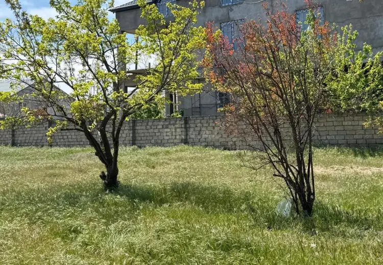 3 sot Torpaq Satılır, Novxanı, Abşeron