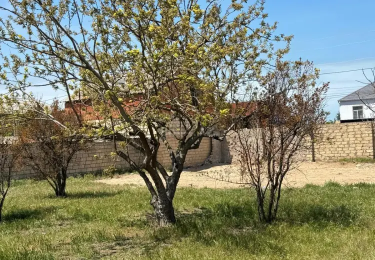 3 sot Torpaq Satılır, Novxanı, Abşeron