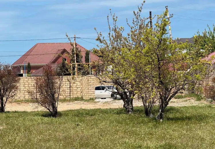 4 sot Torpaq Satılır, Novxanı, Abşeron