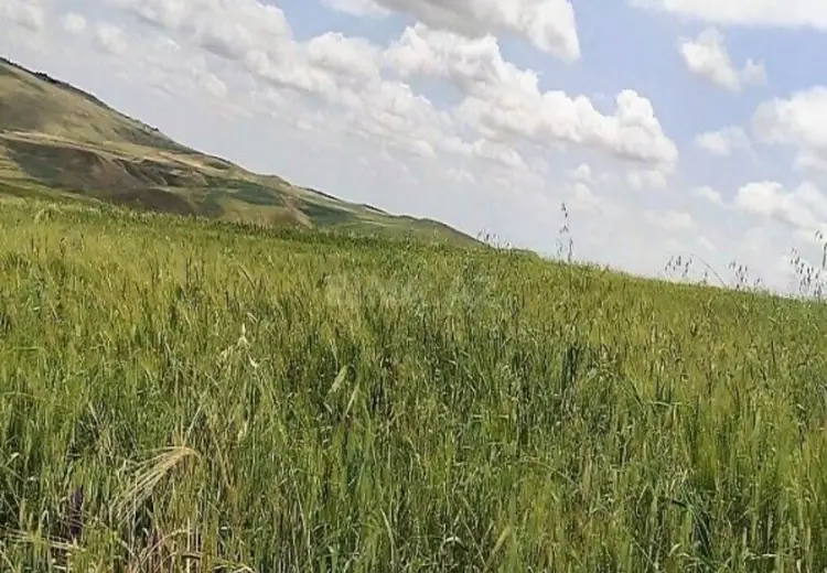 7421 sot Torpaq Satılır, Qobustan şəh., Qobustan