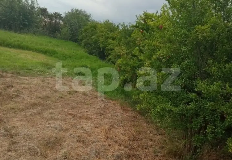 0 m² Obyekt / Ofis , Şabran