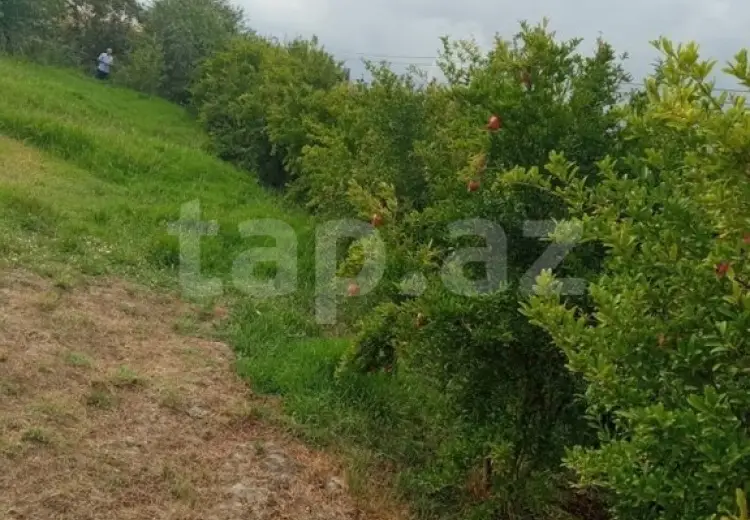 0 m² Obyekt / Ofis , Şabran