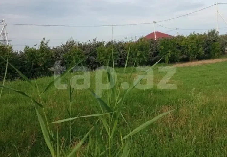 0 m² Obyekt / Ofis , Şabran