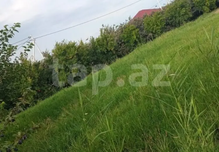 0 m² Obyekt / Ofis , Şabran