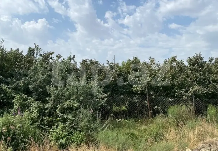 0 m² Obyekt / Ofis , Şabran