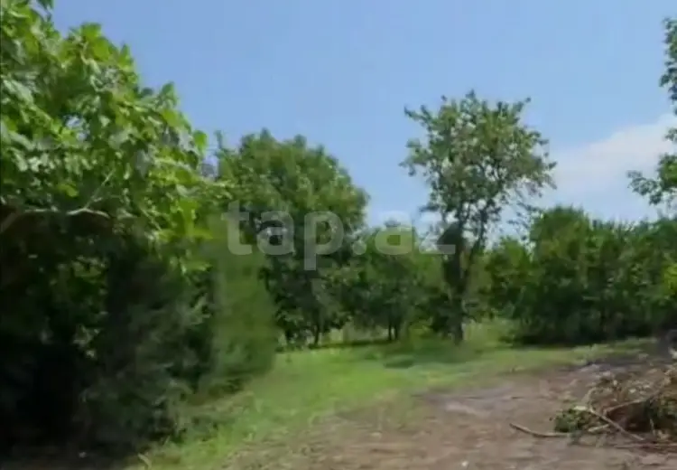 2 otaqlı mənzil , Zaqatala