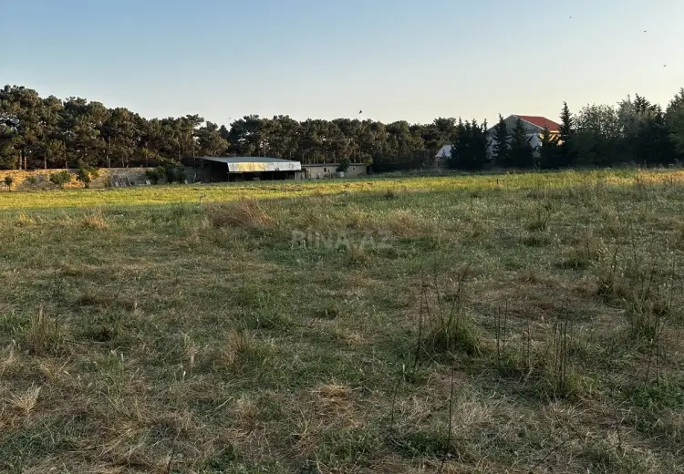101 sot Torpaq Satılır, Ramana qəs., Sabunçu, Bakı