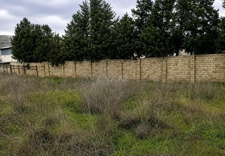 14 sot Torpaq Satılır, Nardaran qəs., Sabunçu, Bakı