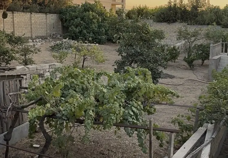 6 sot Torpaq Satılır, Goradil, Abşeron