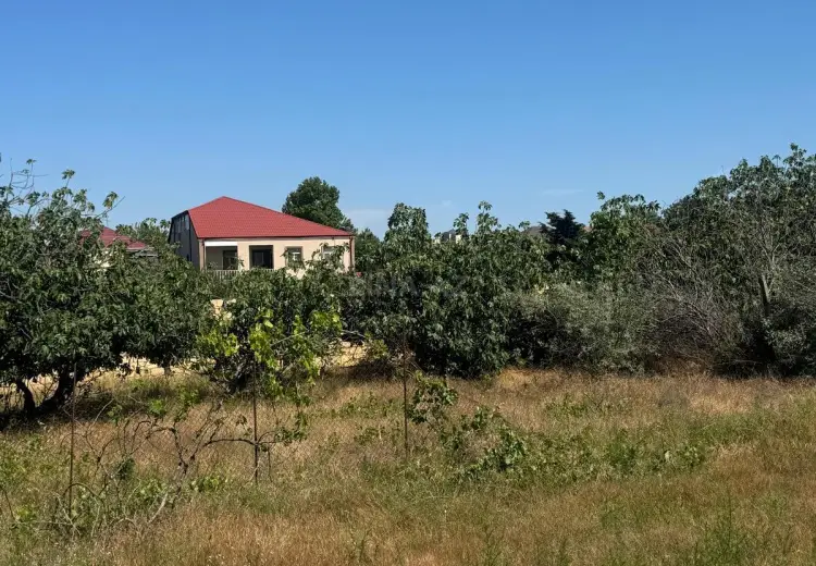 6 sot Torpaq Satılır, Goradil, Abşeron