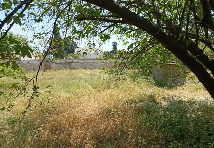 0 m² Obyekt / Ofis , Nardaran qəs., Sabunçu, Bakı