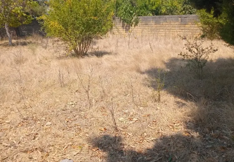5 sot Torpaq Satılır, Masallı
