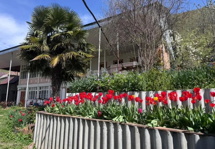 10 otaqlı mənzil , Şəki