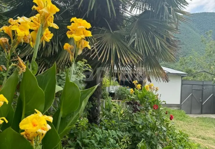 10 otaqlı mənzil , Şəki