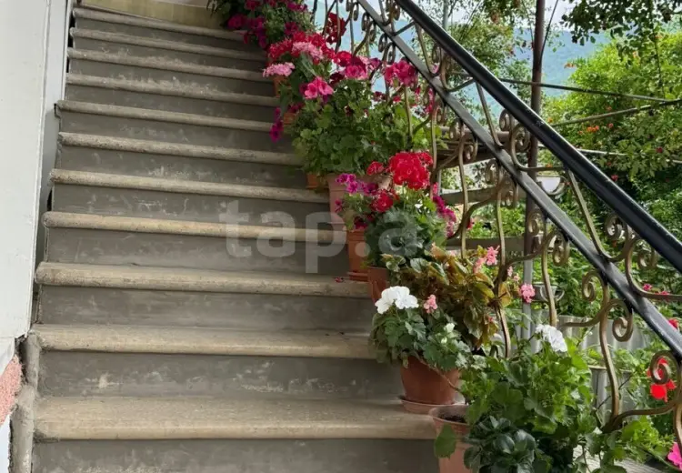 10 otaqlı mənzil , Şəki