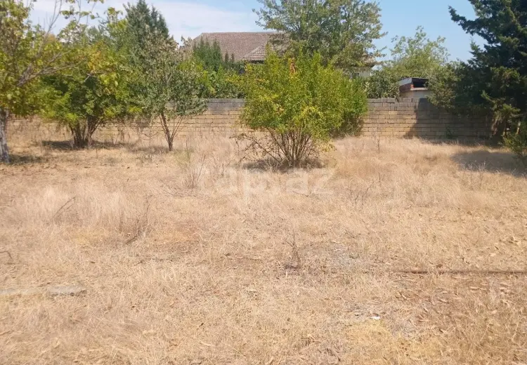 0 m² Obyekt / Ofis , Masallı