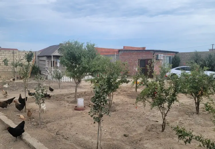 6 sot Torpaq Satılır, Türkan, Xəzər, Bakı