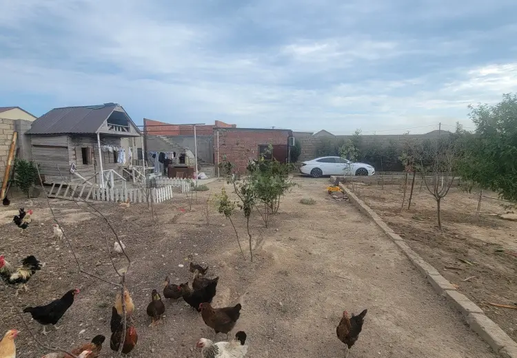6 sot Torpaq Satılır, Türkan, Xəzər, Bakı