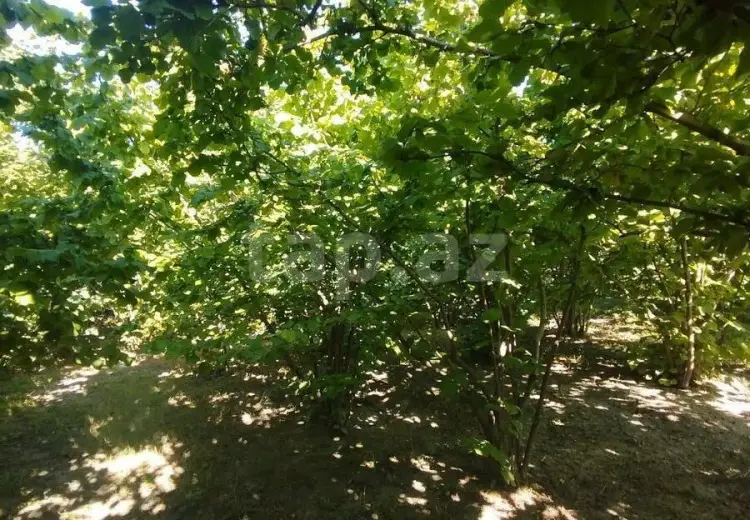 0 m² Obyekt / Ofis , Xaçmaz