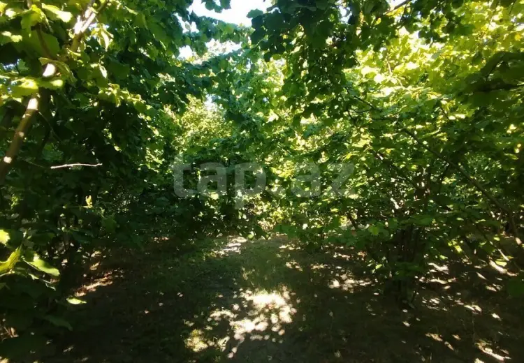 0 m² Obyekt / Ofis , Xaçmaz