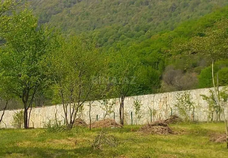 100 sot Torpaq Satılır, Qəbələ