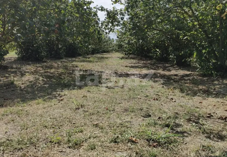 0 m² Obyekt / Ofis , Xaçmaz