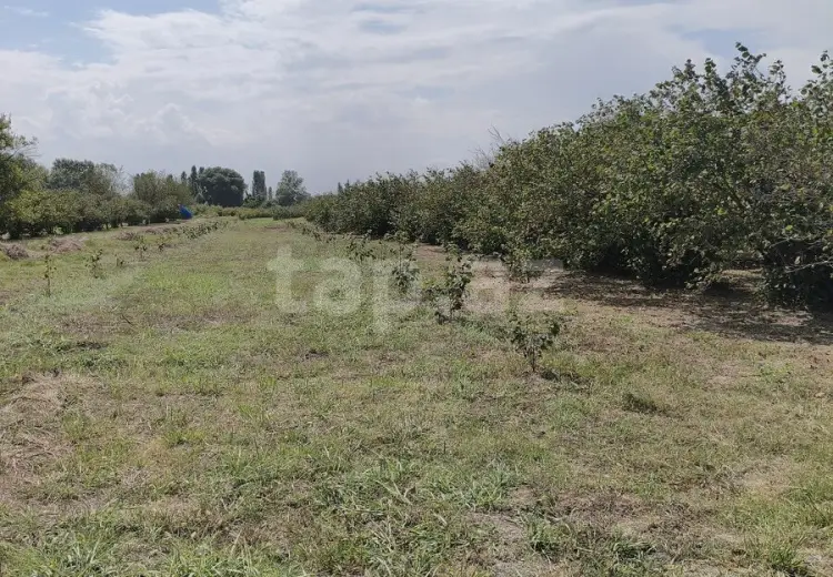 0 m² Obyekt / Ofis , Xaçmaz