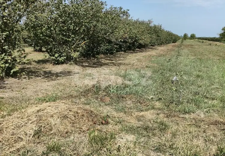 0 m² Obyekt / Ofis , Xaçmaz