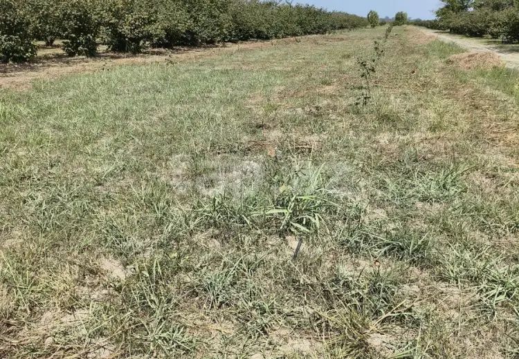 0 m² Obyekt / Ofis , Xaçmaz